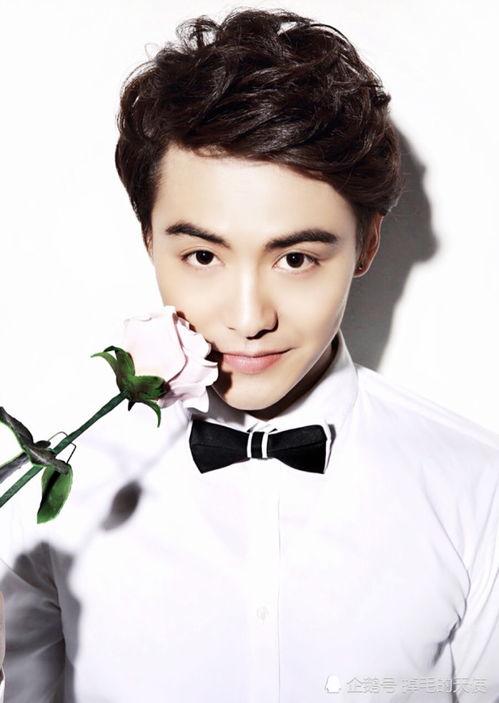 海泉爆料马天宇视频最新,揭秘背后惊人内幕  第2张