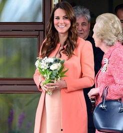 香港爆料凯特王妃视频大全,凯特王妃视频大全揭秘  第1张